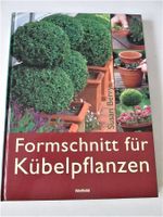 Formschnitt für Kübelpfanzer