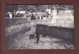 BERN - Bärengraben - Besuch Kaiser Wilhelm II 1912