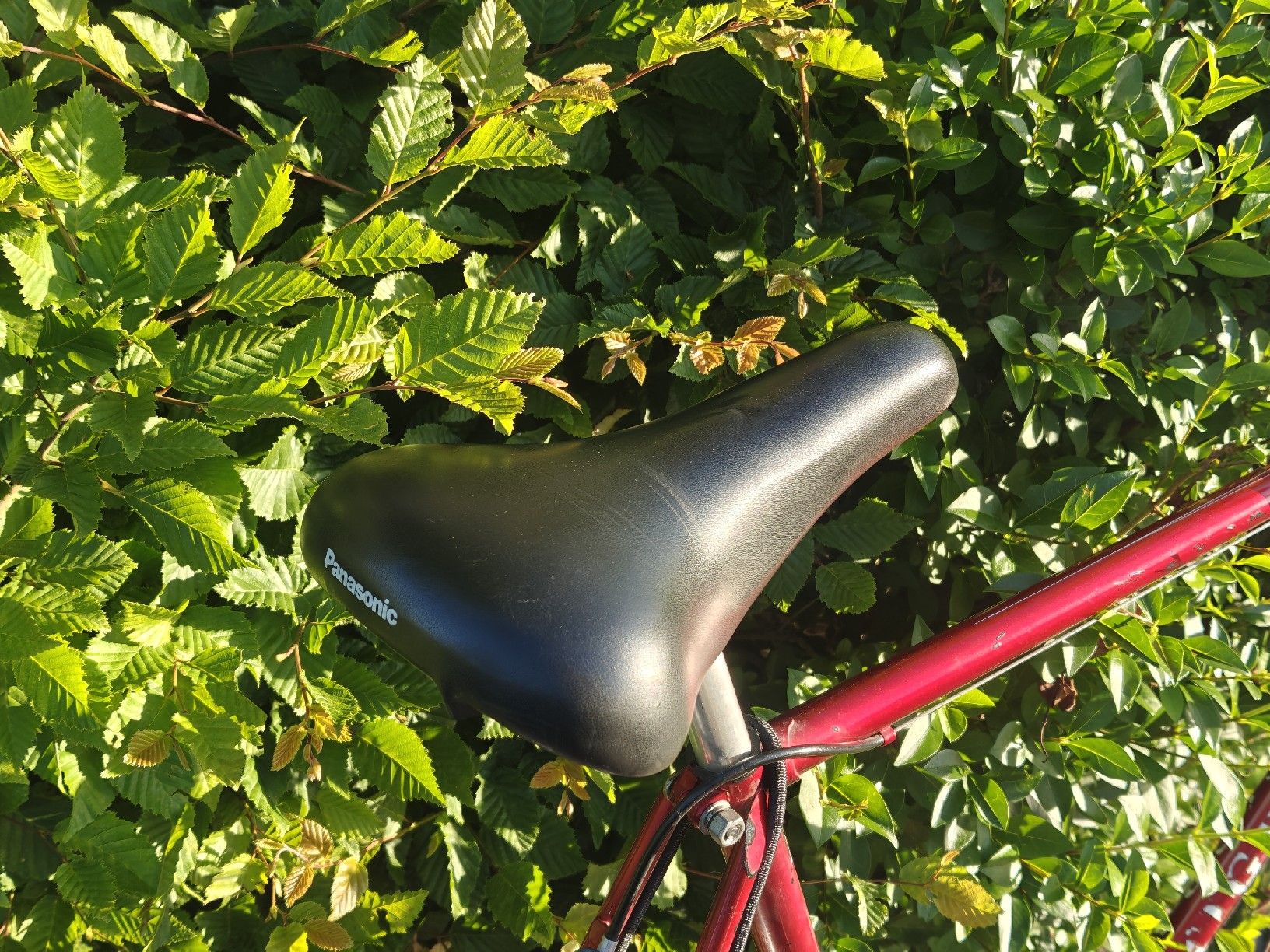 Biciclette: Vintage Herrenvelo Tigra – Usato da Sempach venduto da sam_z6d2 2