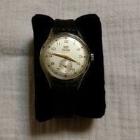 FORTIS 17 Rubins – (015)