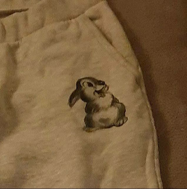 Disney Hosen: Disney Trainerhose – Neu (gemäss Beschreibung) aus Zürich von ptanyela 1