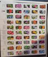 USA - Anciens timbres