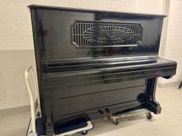 C. Bechstein Klavier 129 cm,
