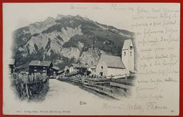 Elm 1903