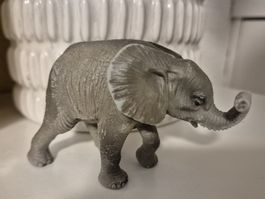 BULLY     🐘🩶     baby Elefant