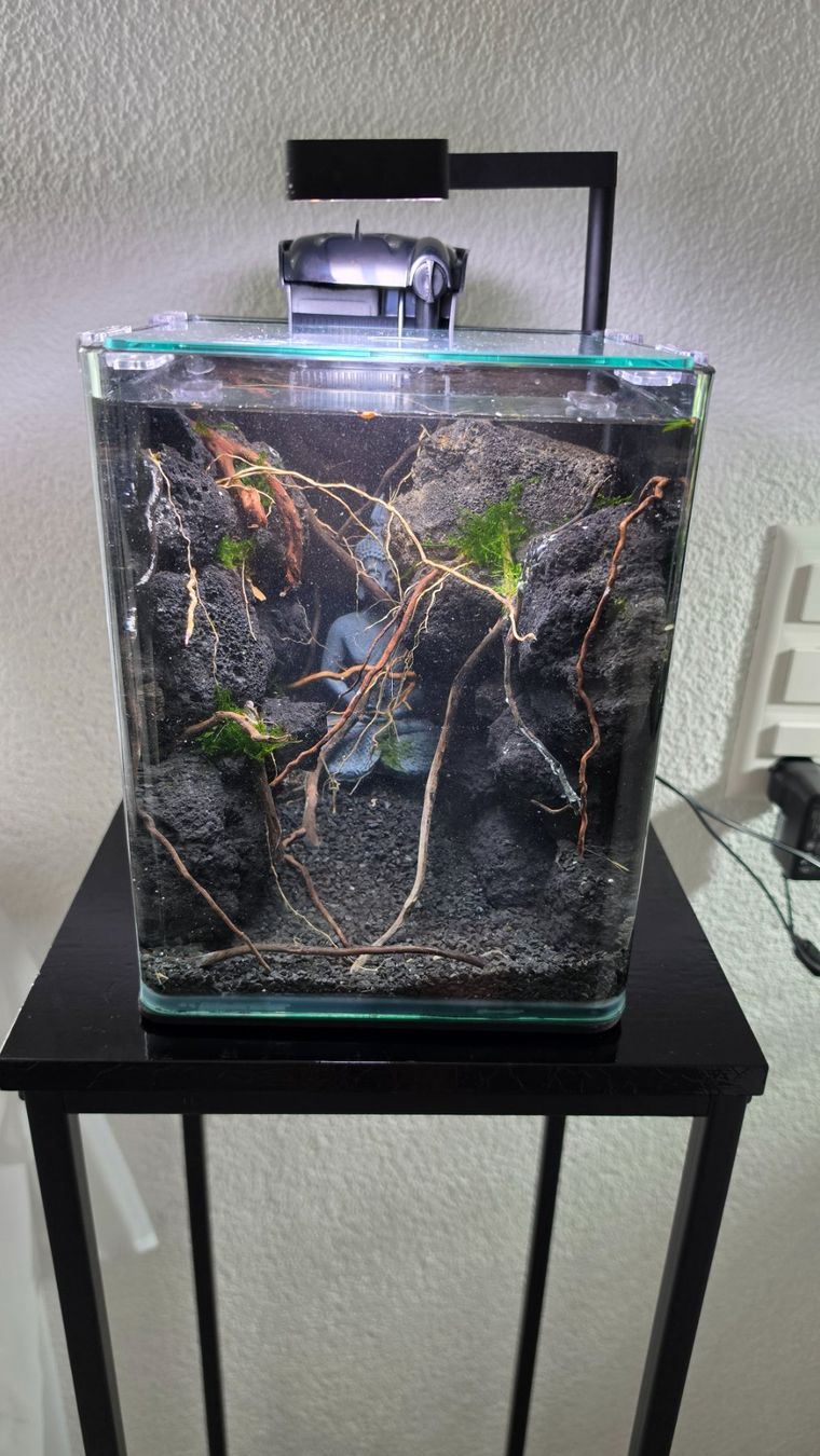 Acquari: Nano Aquarium Schlucht imitation – Usato da Obergerlafingen venduto da Deluxepoint 1
