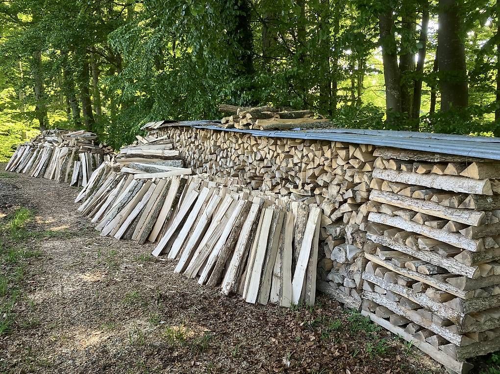 Articoli in legno: Brennholzspälten 1m Esche – Usato da Schalchen venduto da kel_xr7s