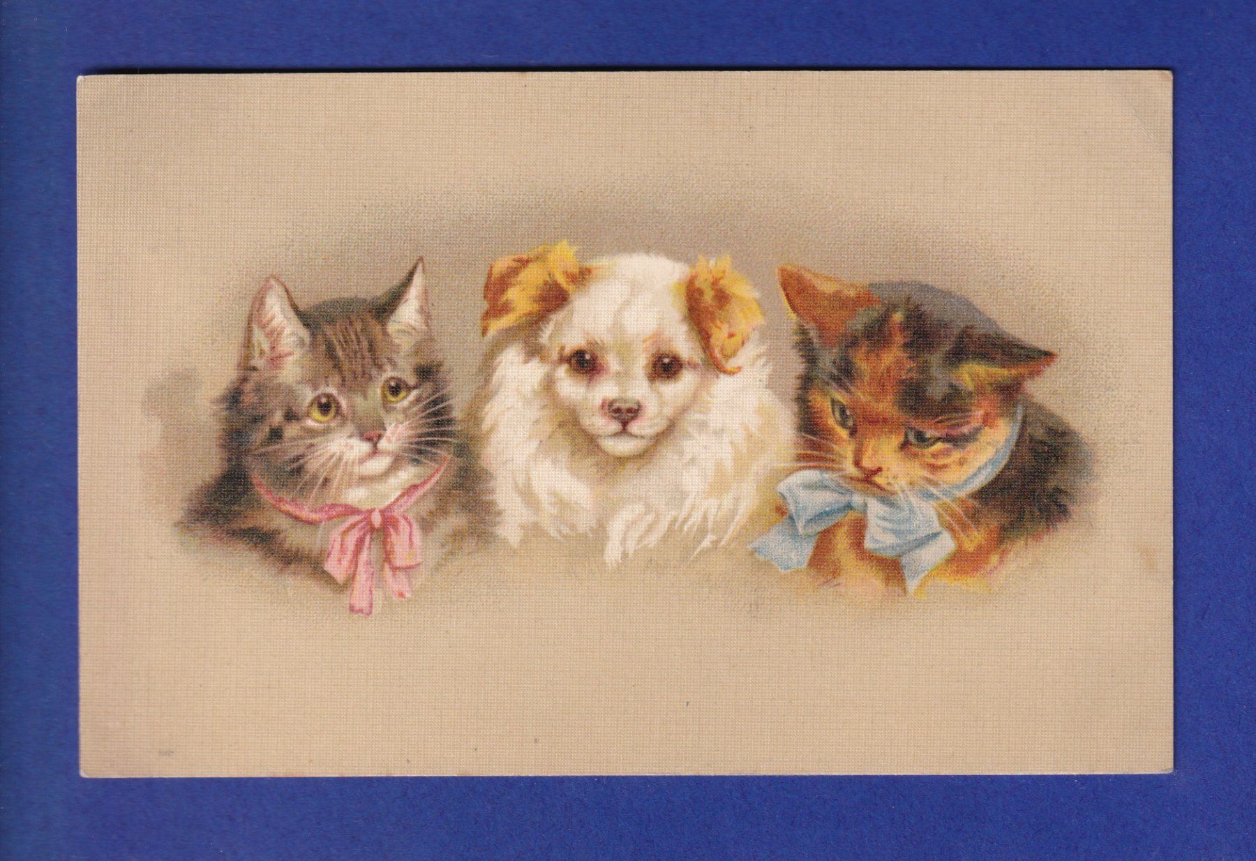 Ansichtskarten: CHAT - 2 chats et un chien – Gebraucht aus Pully von nicecards-shop
