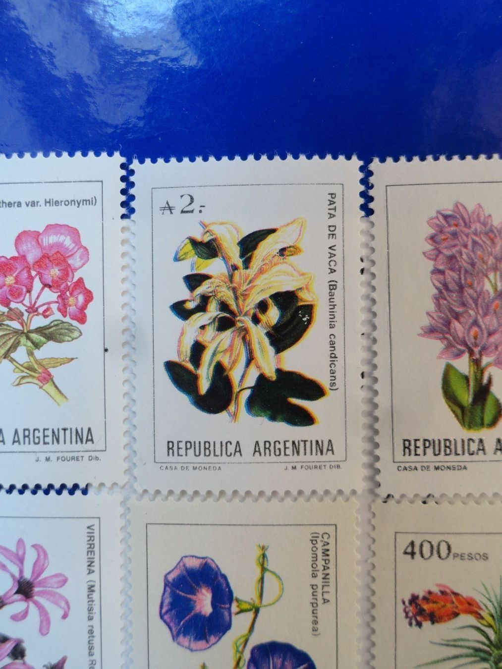 Tous les timbres: Blumenmotive Argentinien. Grosse Abart – Neuf (Voir description) à stäfa par brandy66 1
