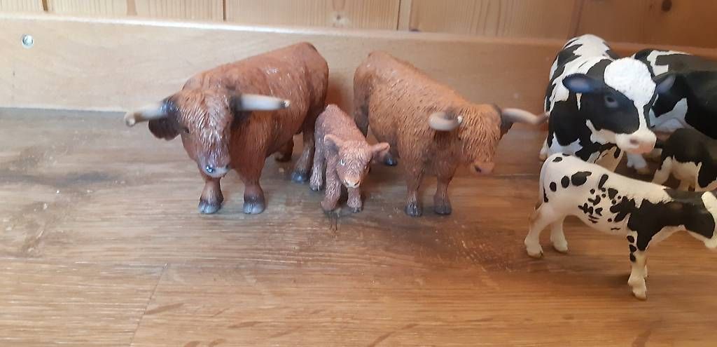 Schleich Jouets: Schleich Kühe – D'occasion à Rütihof par ali_9tbw 1