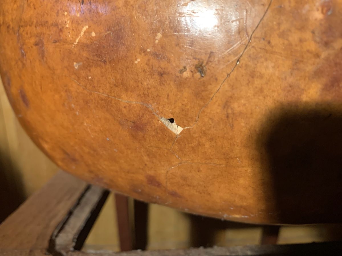 Strumenti musicali: Alte indische Sitar, defekt, – Usato da Dussnang venduto da pml253 8