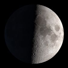 Profile image of Cirep