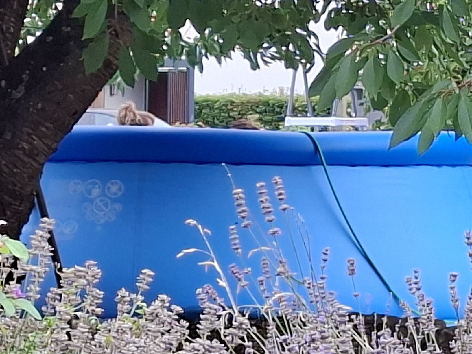 Intex Piscines: piscine de 4m50 – D'occasion à Cudrefin par Garfieldge 1