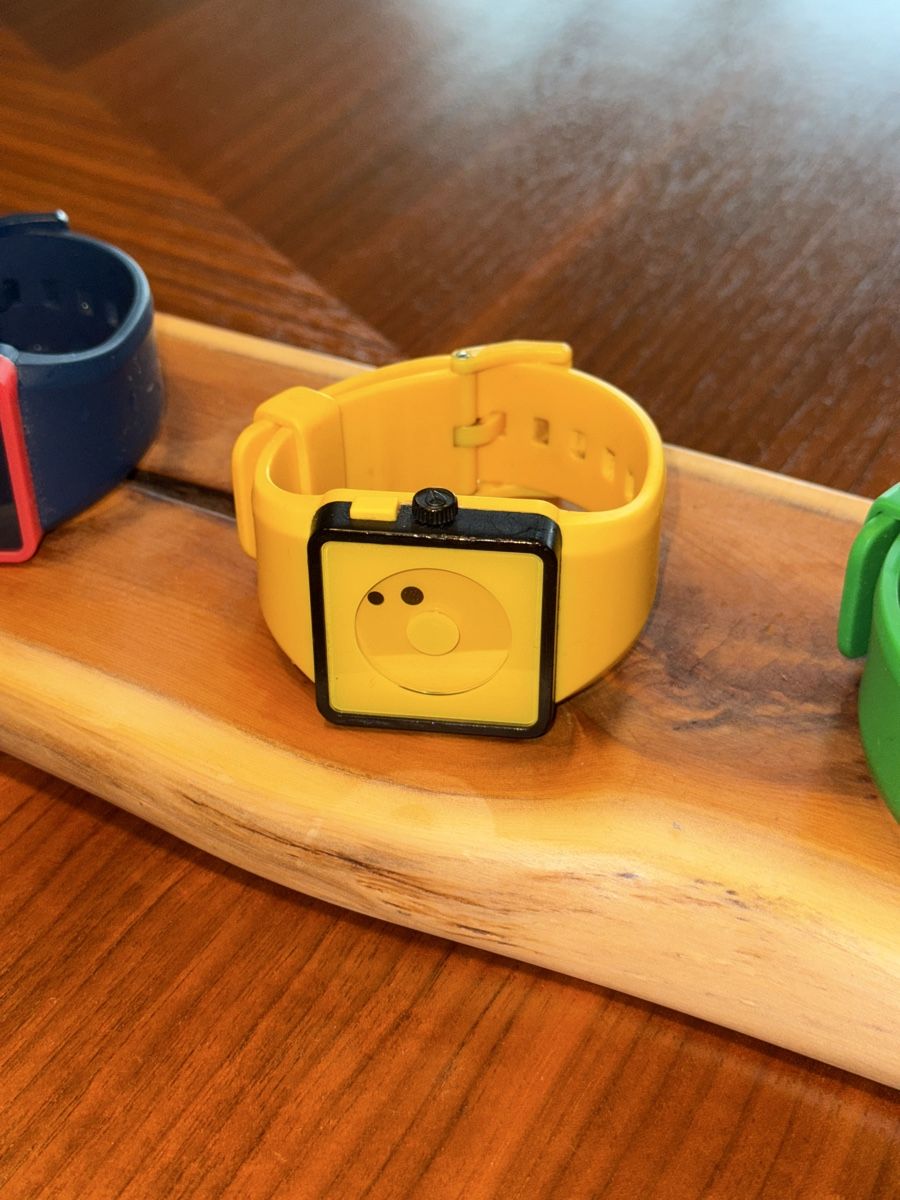 Nixon Orologi: Nixon - Newton Watch – Usato da Schlieren venduto da Cachorroquente 1