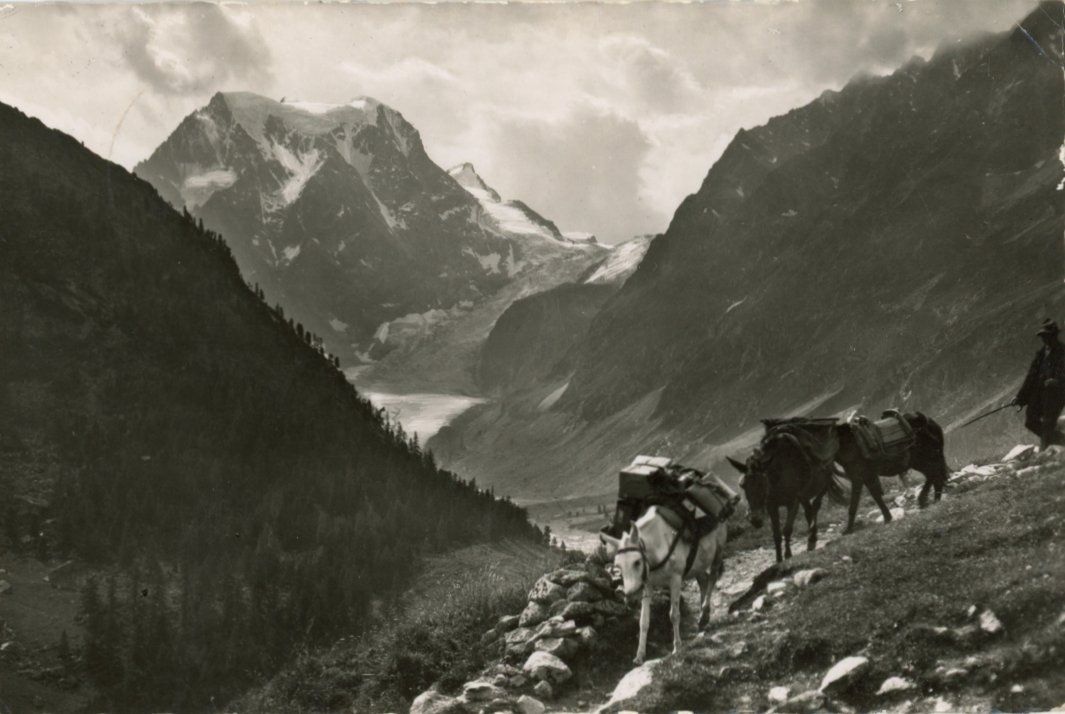 Cartes postales: Arolla  VS  -  Départ de la Poste / mulets    en 1955 – D'occasion à Brig par Valcards54