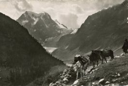 Arolla  VS  -  Départ de la Poste / mulets    en 1955