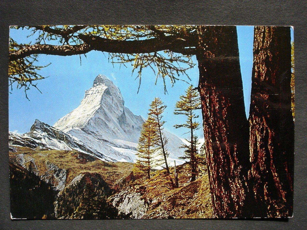Cartoline postali: ZERMATT Matterhorn Nr. 1199 – Usato da Jona venduto da philajona