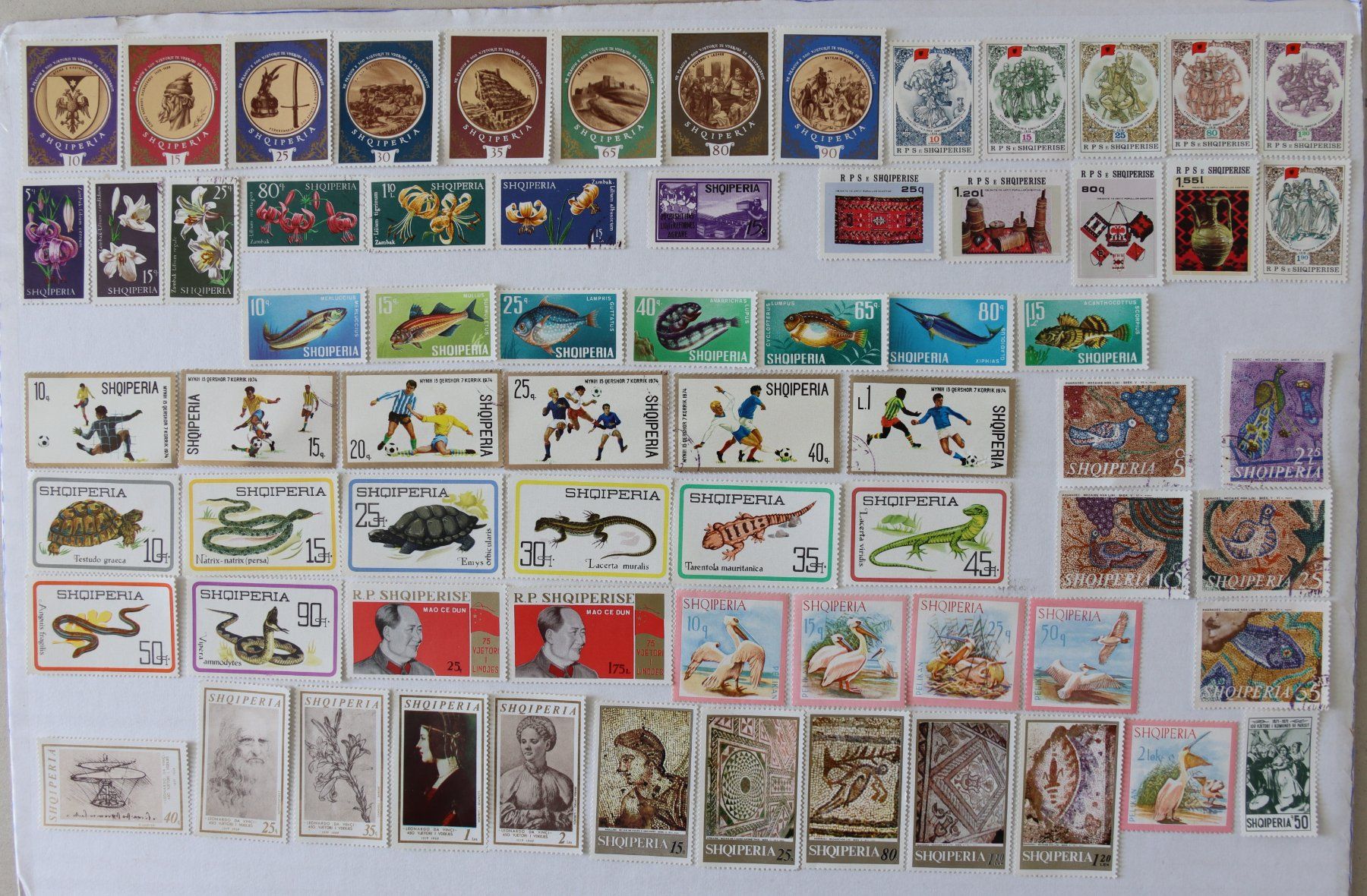 Tutti i francobolli: Briefmarken aus Albanien – Usato da Oberentfelden venduto da lakipul