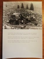 Saurer