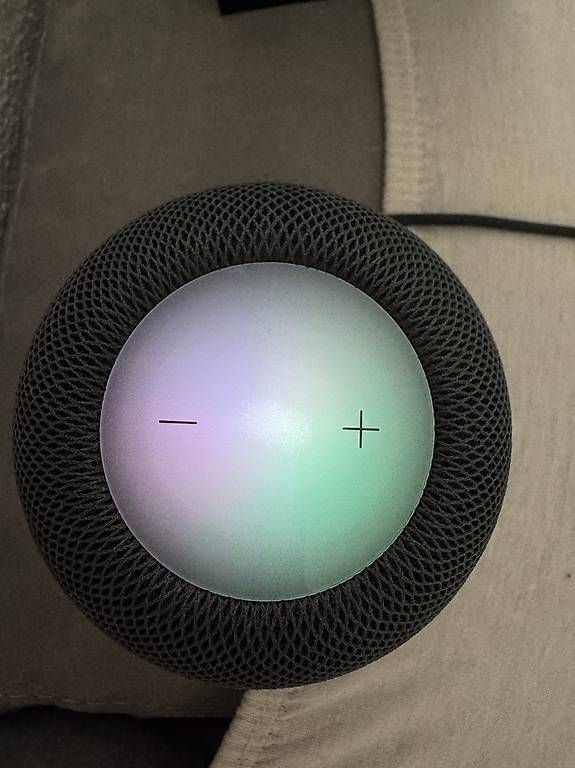 Casse acustiche: HomePod Mini Apple (schwarz) – Usato da Reinach BL venduto da j_7fjs 3