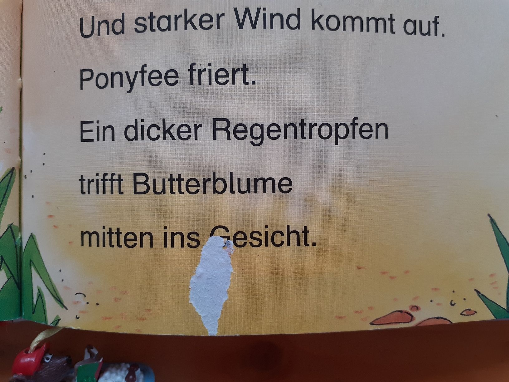 Libri: Erst Lese Buch Ponyfee – Usato da Chur venduto da Knuffer 3