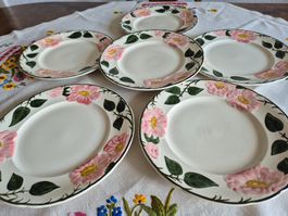 6er Set Speiseteller Wildrosen-Relief, V&Boch, Landhausstil