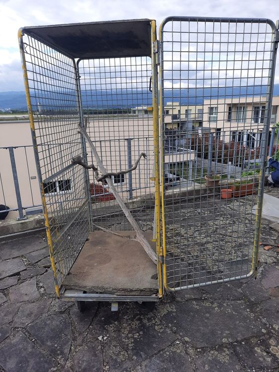 Voliere Vogelkäfig Kaufen auf Ricardo