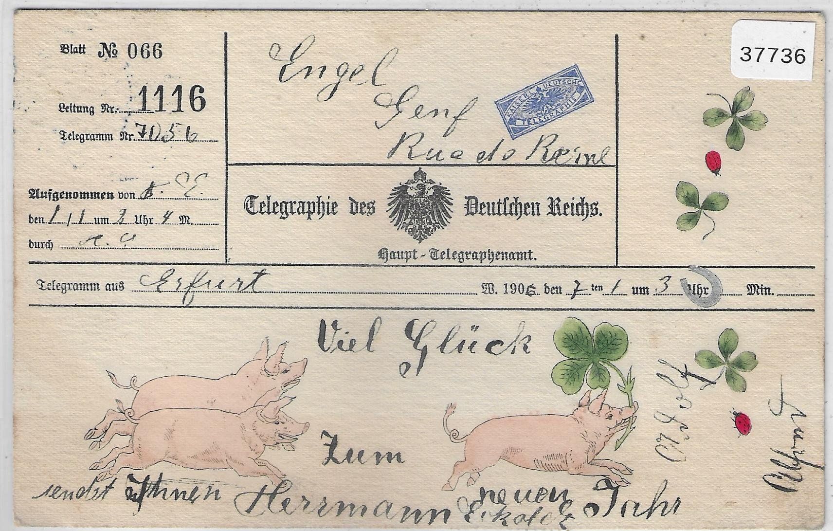 Ansichtskarten: Neujahr Telegramm als Postkarte - Schweine 1.1.06 – Gebraucht aus Ettingen von Kartenplanet