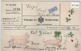 Neujahr Telegramm als Postkarte - Schweine 1.1.06