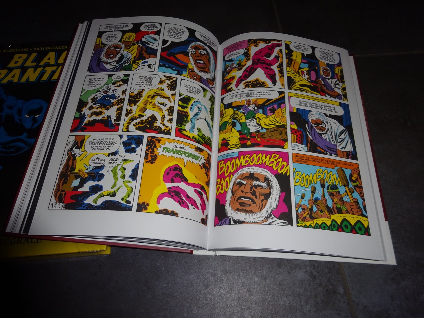 Fumetti: BD Black Panther – Nuovo (secondo la descrizione) da Sierre venduto da sud_fg5q 3