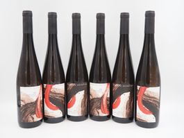 6x Riesling Grand Cru Münchberg 2022/ NP 360 CHF (26070910PL
