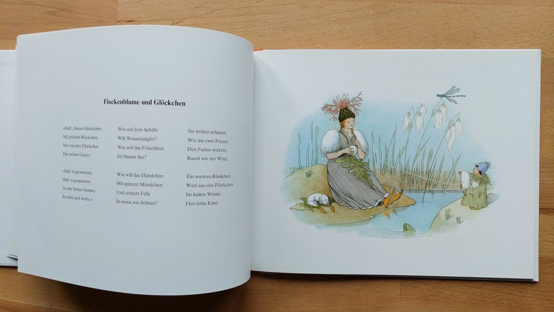 Libri: Blumenmärchen von Ernst Kreidolf – Nuovo (secondo la descrizione) da Obfelden venduto da Foto_Bild_Kunst_Buch 4