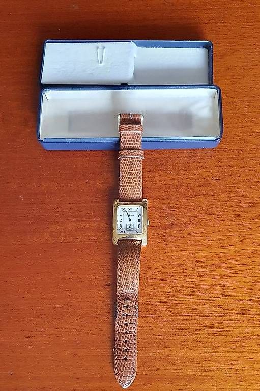 Swiss Orologi: Montre squelette MEISTER – Usato da Saint-Gingolph venduto da Olamitsi 4