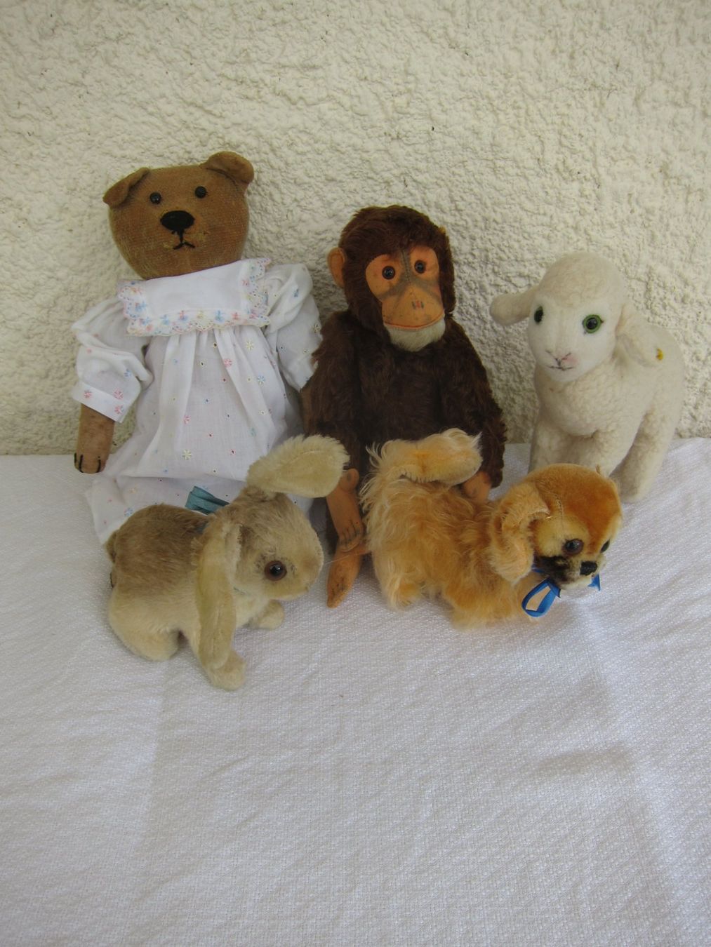 Giocattoli: Plüschtiere: Teddy, Affe, Lamm, Hase, Hund – Usato da Regensdorf venduto da Eri8057 1