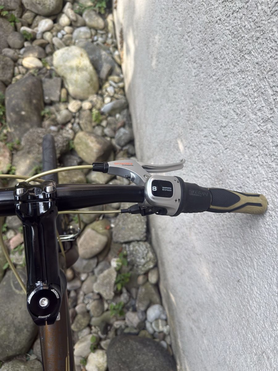 Scott Biciclette: Scott SUB 35 | Nexus 8 | Brooks Ledersattel | Gr.L – Usato da Steffisburg venduto da com_tg29 5