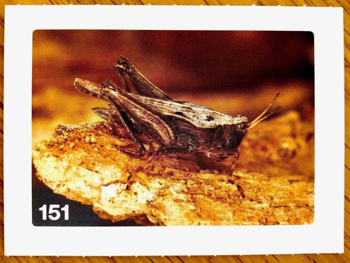Migros Carte collezionabili: Migros Nature Detectives - Bild Nr. 151 – Nuovo (secondo la descrizione) da Oberrieden venduto da Zimmerberg10