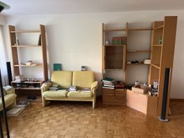 Wohnzimmerwand/Bücherregal Buche hell