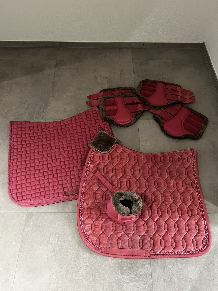 Selle & Accessori: Eskadron Classic Sport Set in rouge – Usato da Scherz venduto da noelle_j