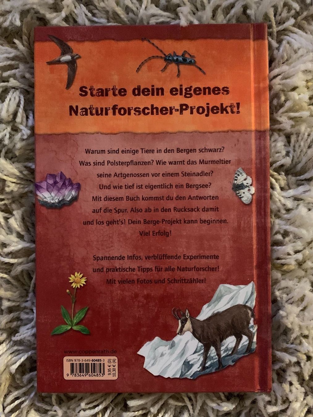 Livres: Forschen und Entdecken/Projekt Berge – D'occasion à Mauren par SB1606 1