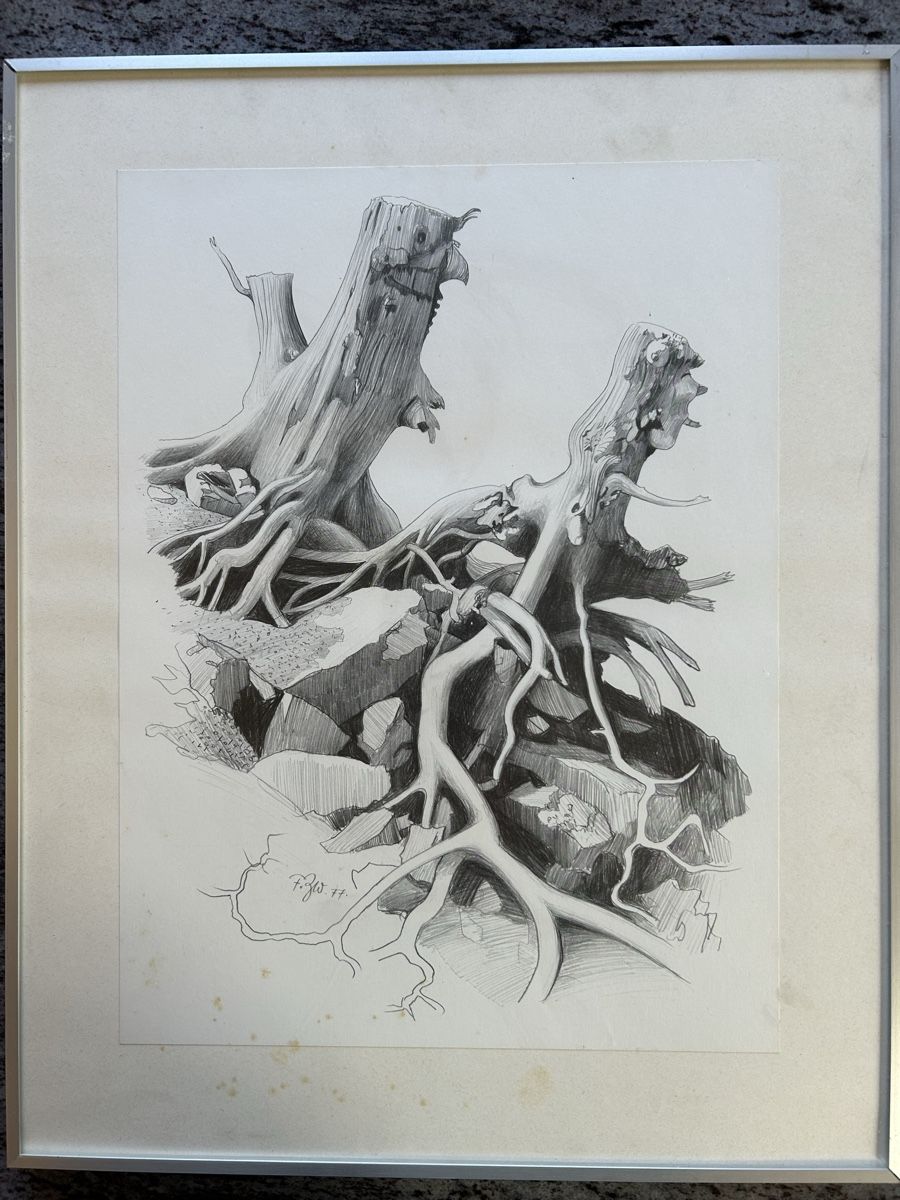 Tableaux: Fritz Zwicky, Wurzelstock – D'occasion à Trimmis par Maripet