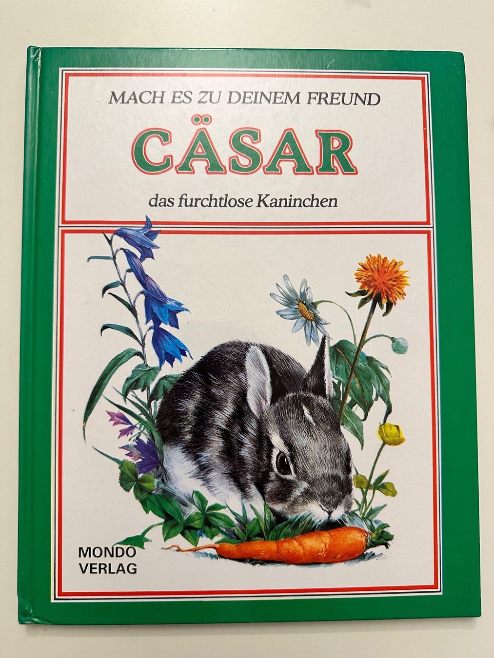 Bücher: CÄSAR das furchtlose Kaninchen  - Hardcover – Gebraucht aus Münsingen von Ganjam