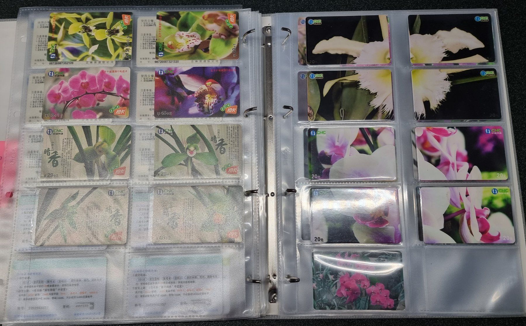 Album: Album 2 silber Telefonkarten Orchideen – Usato da Lostorf venduto da Dalbi 4