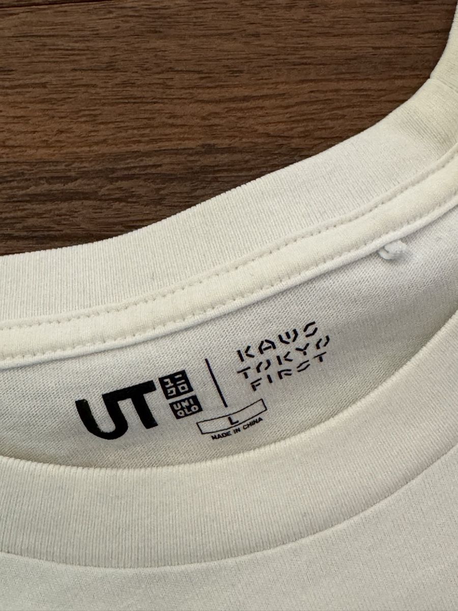 Uniqlo T-shirt: uniqlo x kaws shirt – Usato da Zürich venduto da one_6cds 1