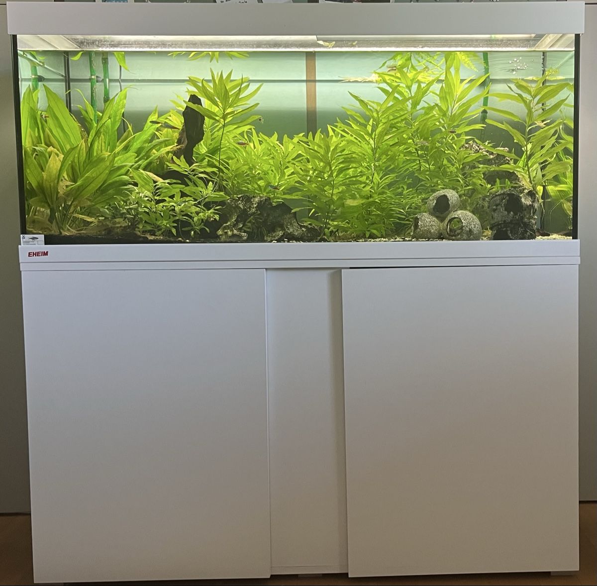 Eheim Aquarium: Aquarium 240 lt Starterset – Gebraucht aus Zürich von Toptob