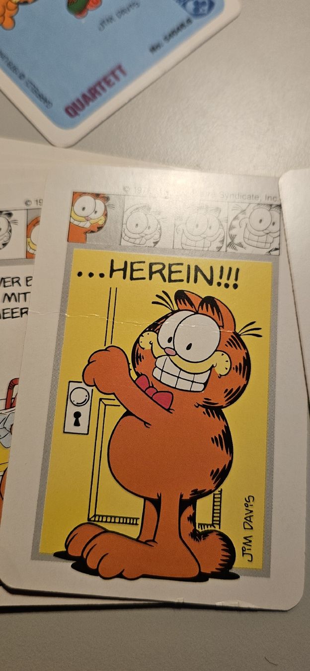 Giochi: Garfield Quartett 1978 FX Schmid – Usato da Belp venduto da Ginus85 7