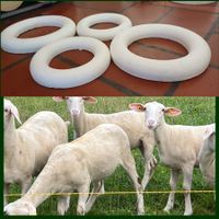 Couronne en polystyrène pour bricolage