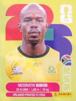Panini FIFA World Cup RSA 10