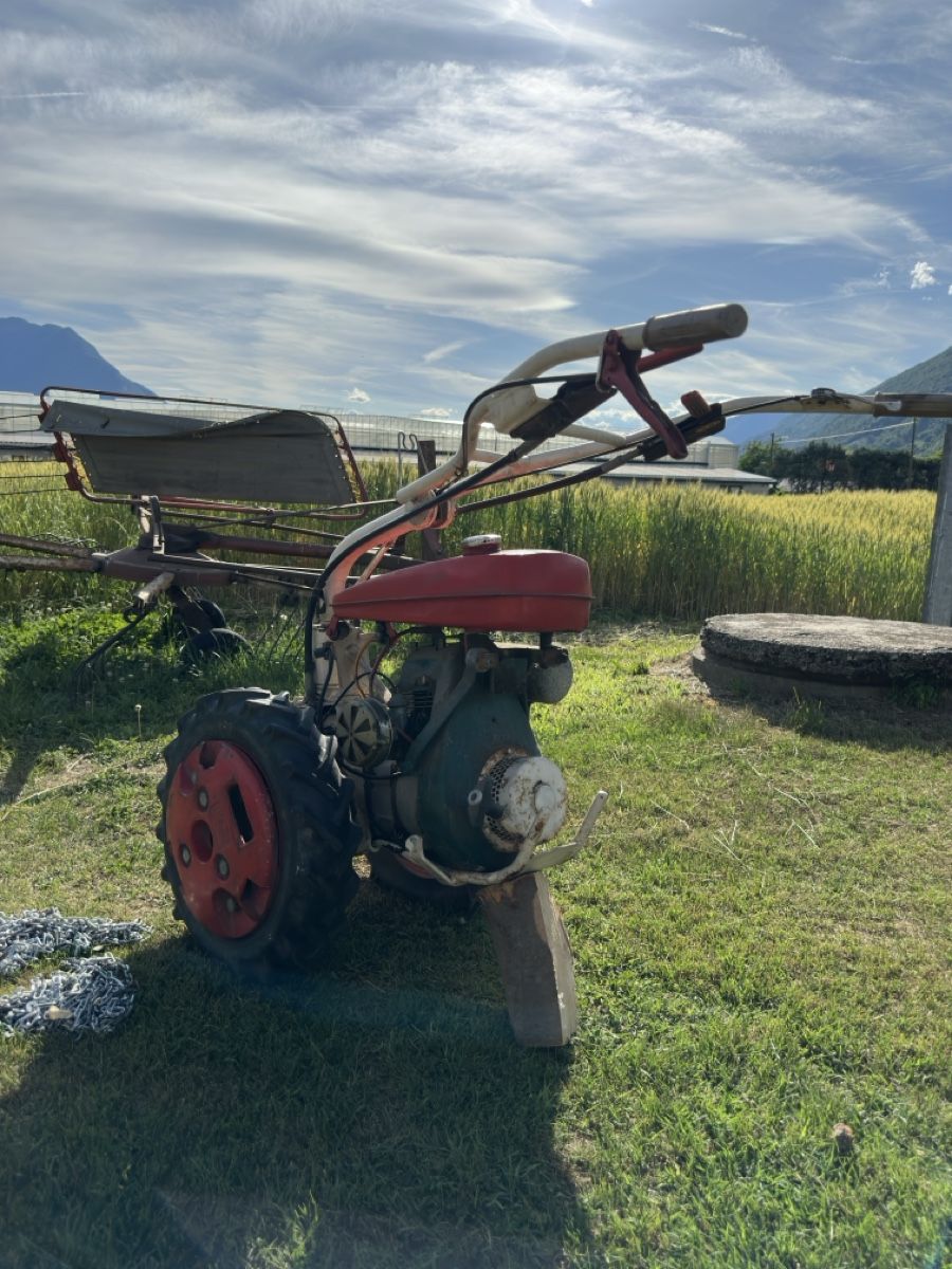 Agria Alle Maschinen: Agria 2400 – Gebraucht aus Monte Carasso von Aron1401 1