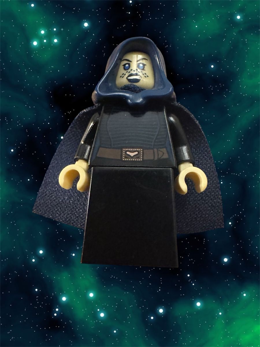 Lego Statuette: Lego Star Wars Barriss Offee sw0909 – Usato da Wetzikon ZH venduto da the-collector91