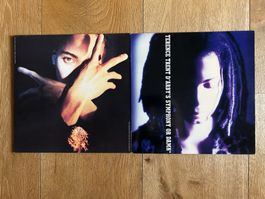 LP Terence Trent D'Arby, Neitzer Fish, Symphony Or Damn, RAR